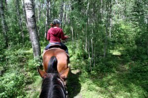 Horseback riding