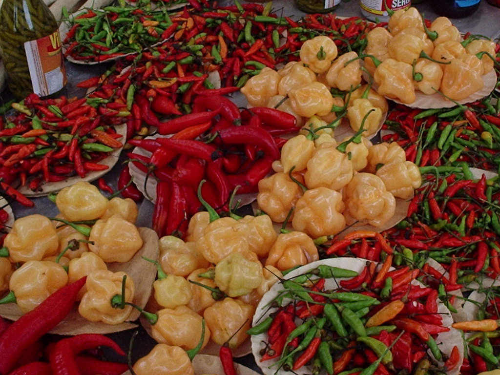 Food Street Market Fair, Rio de Janeiro